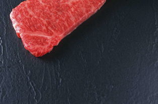 高精度鲜肉概念素材大全面面观